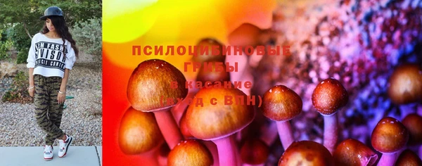 прущая мука Данков