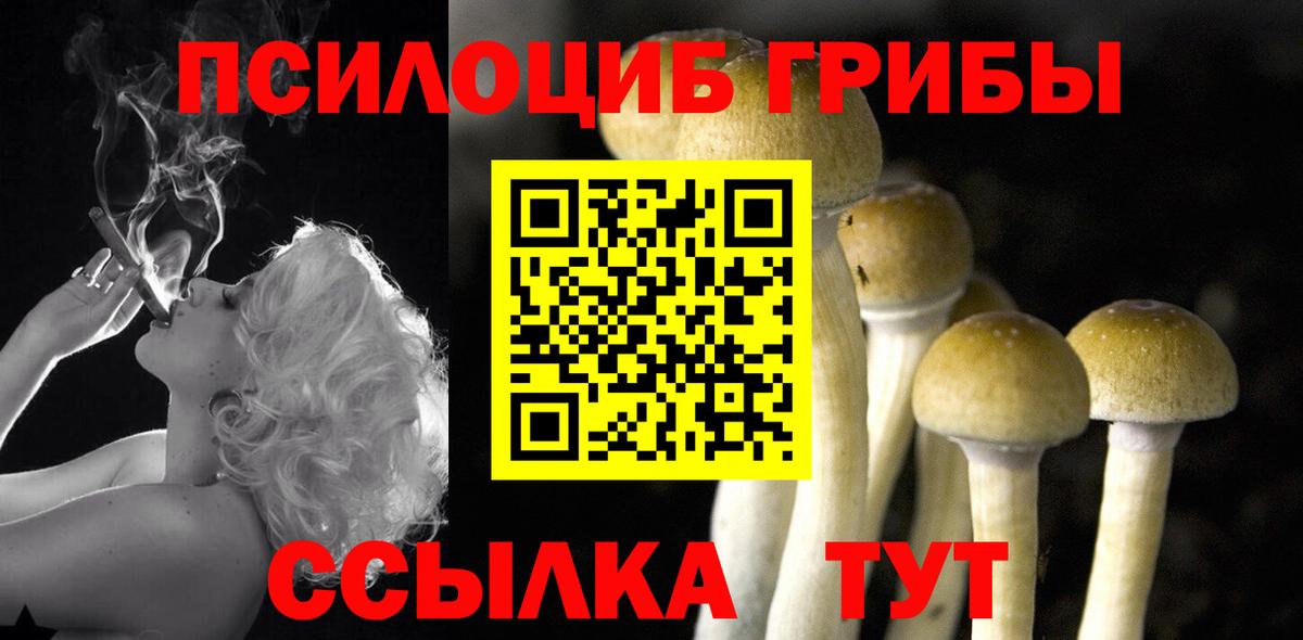 Галлюциногенные грибы GOLDEN TEACHER Барабинск